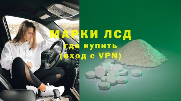 гидра Богородск