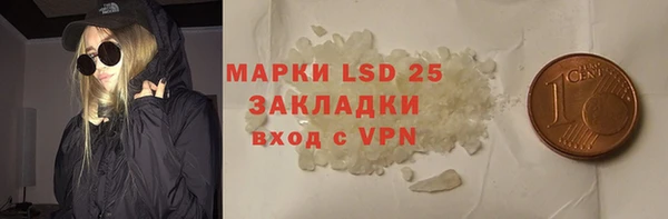 мдпв Богородицк