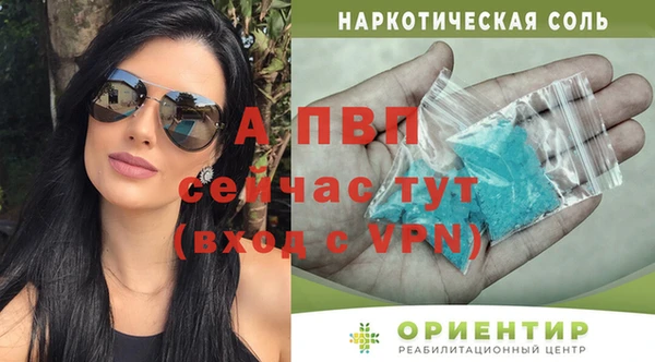 гидра Богородск