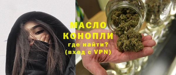 гидра Богородск
