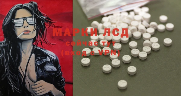 мдпв Богородицк