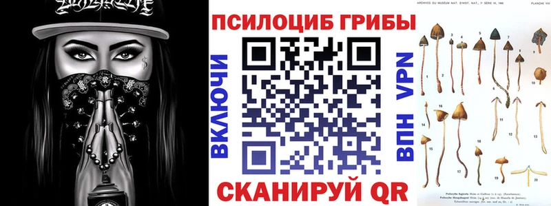 Галлюциногенные грибы MAGIC MUSHROOMS  Пионерский 